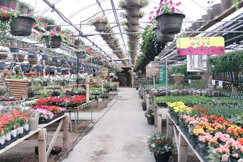 Vandermeer Garden centre